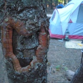 Winter Camping in the California&nbsp;Deserts