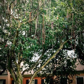 5 Questions with Dr.&nbsp;John