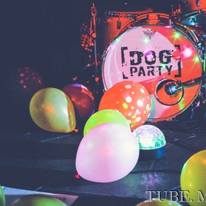 See:PETS, Dog Party, and Kepi&nbsp;Ghoulie.