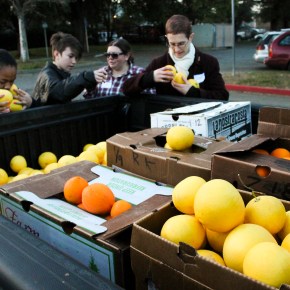 Harvesting Sacramento