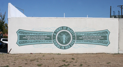 Matranga's Words on Walls mural design in Del Paso Heights (photo courtesy Asbestos Press).