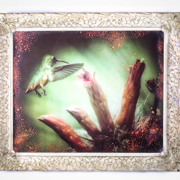 Sweetest Nectar by Robin Eagan. Photo provided by the artist. 