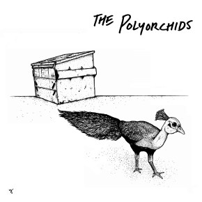 A Low Class Love Song To The&nbsp;Polyorchids