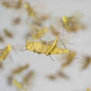 Exhibits to See: The Cycle by Cyrus&nbsp;Tilton